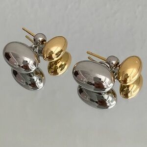 Chic Two-Tone Silver and Gold Earrings